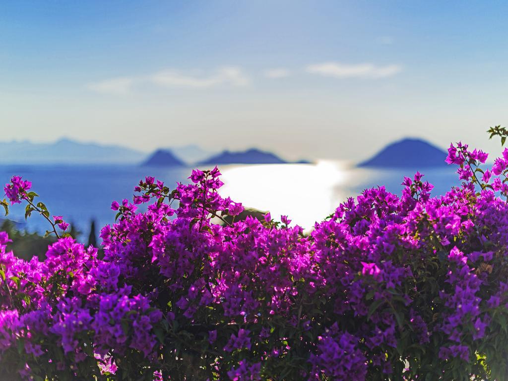 Sunset Mavi Villa Тургутрейс Екстериор снимка