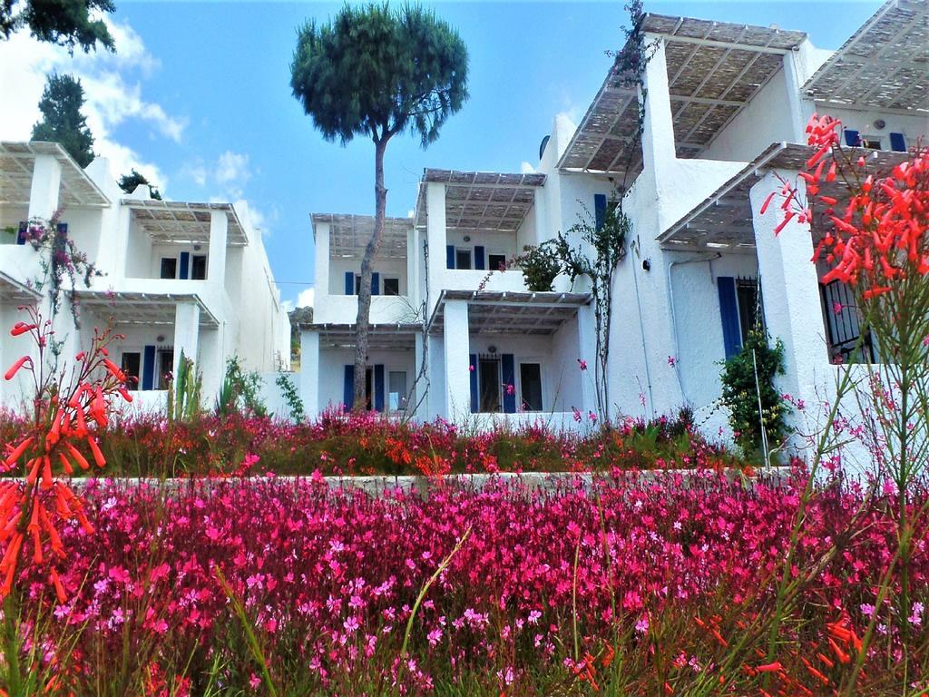 Sunset Mavi Villa Тургутрейс Екстериор снимка