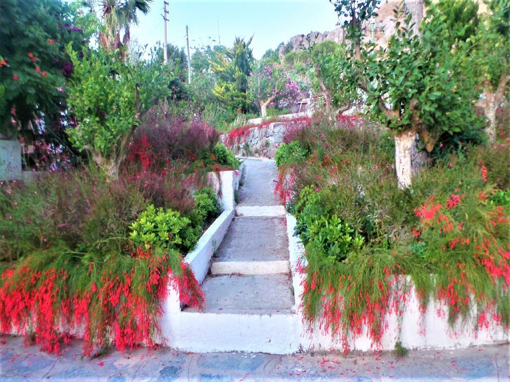 Sunset Mavi Villa Тургутрейс Екстериор снимка