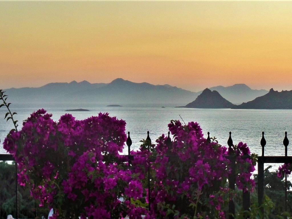 Sunset Mavi Villa Тургутрейс Екстериор снимка